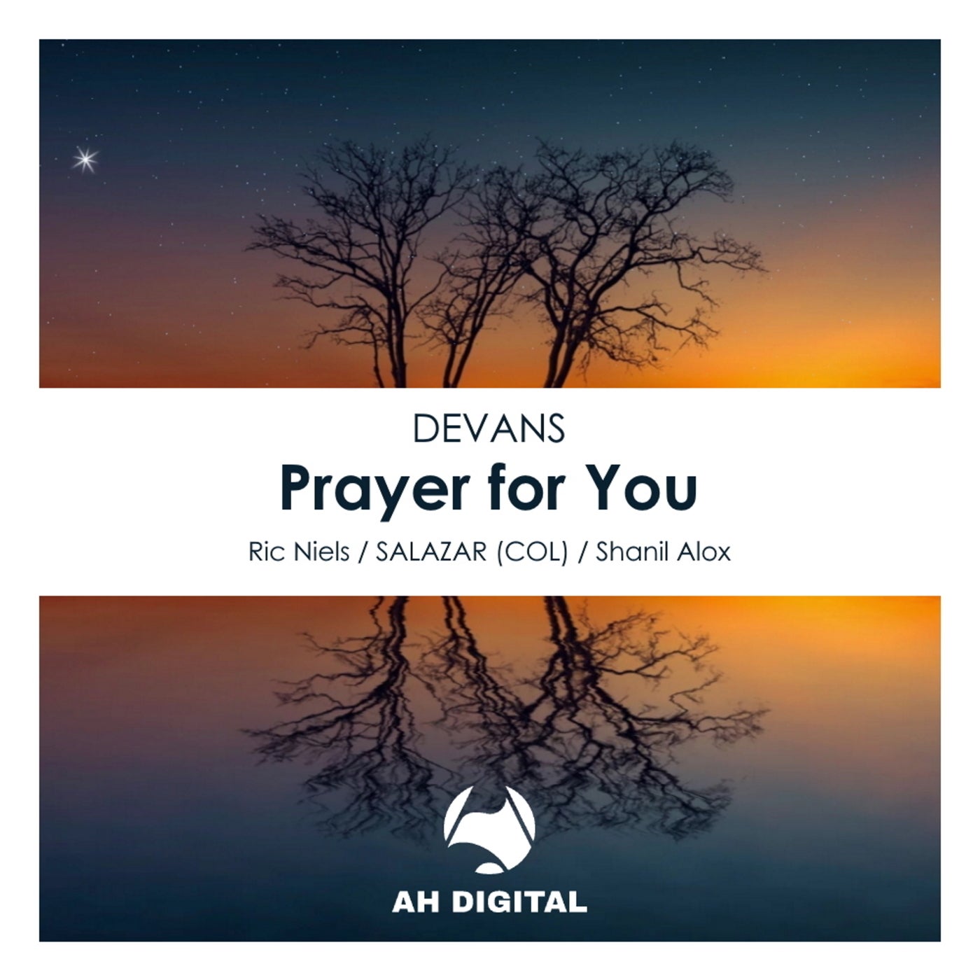 DEVANS - Prayer For You [AHD209]